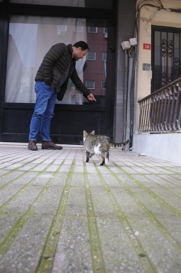 Foto - Dükkanda kilitli kalan kedi şehri ayağa kaldırdı