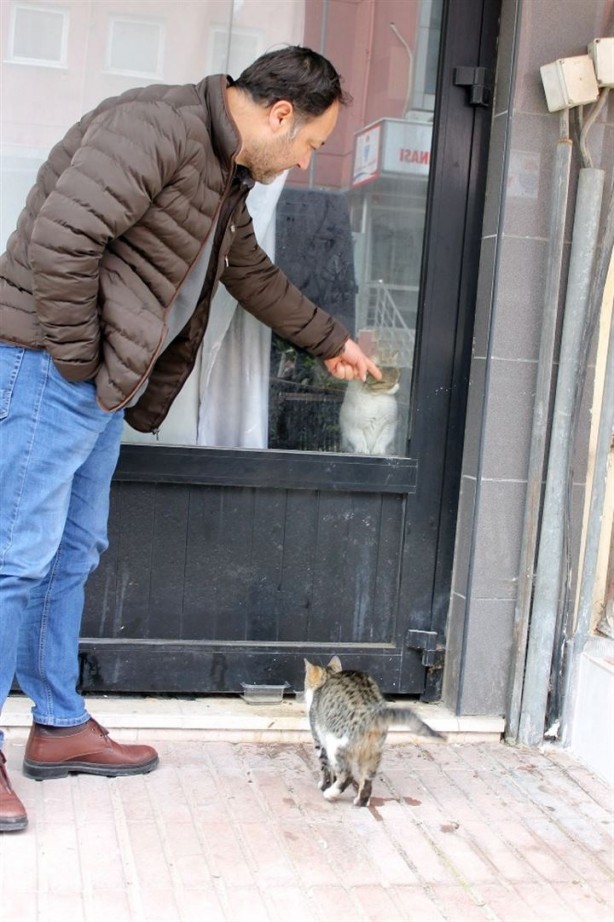 Foto - Dükkanda kilitli kalan kedi şehri ayağa kaldırdı