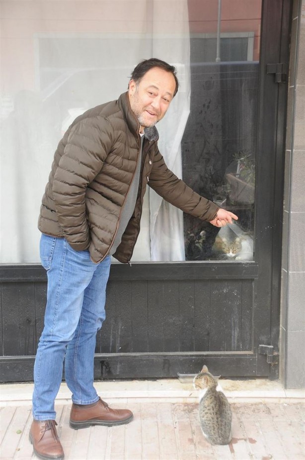 Foto - Dükkanda kilitli kalan kedi şehri ayağa kaldırdı