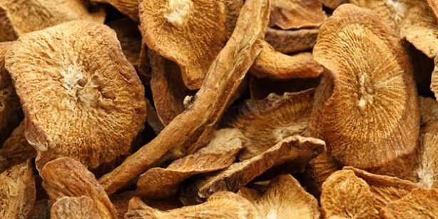 Foto - Dulavrat otu: Demleyip için, şeker hastalarına şifa dağıtıyor