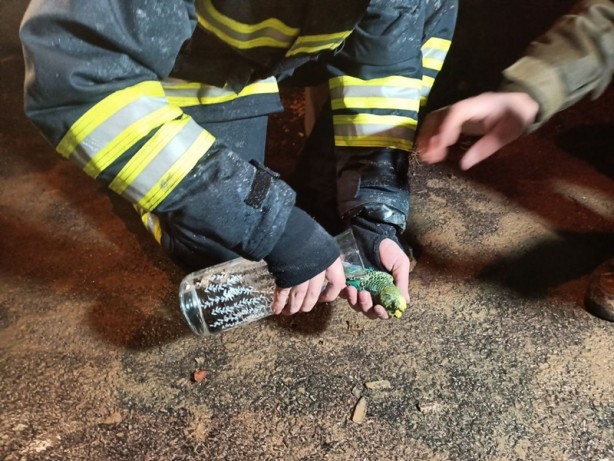 Foto - Dumandan zehirlendi! İtfaiyeden kuşa kalp masajı