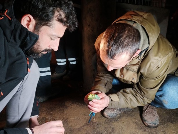 Foto - Dumandan zehirlendi! İtfaiyeden kuşa kalp masajı