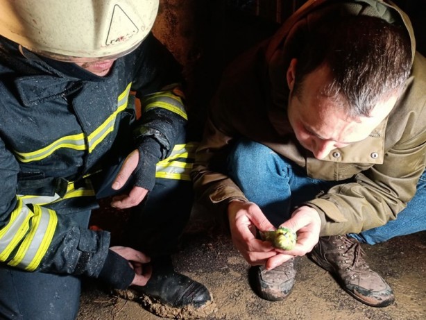 Foto - Dumandan zehirlendi! İtfaiyeden kuşa kalp masajı