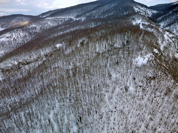 Foto - Dumanlı Yaylası beyaza büründü