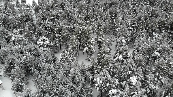 Foto - Dumanlı'da mest eden manzara
