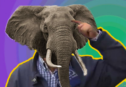 Dün yediğini bile hatırlamayanlar müjde! Bunu yiyen, fil gibi bir hafızaya sahip oluyor! Artık hiçbir şeyi unutmayacaksınız! Zıpkın gibi, dipçik gibi, zehir gibi olacaksınız