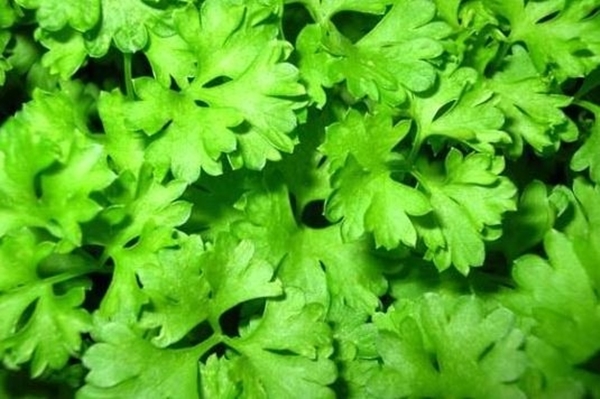 Foto - Dünden kalan pilavı yerseniz...