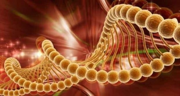 Foto - Dünya 150 sene sonra nasıl olacak?