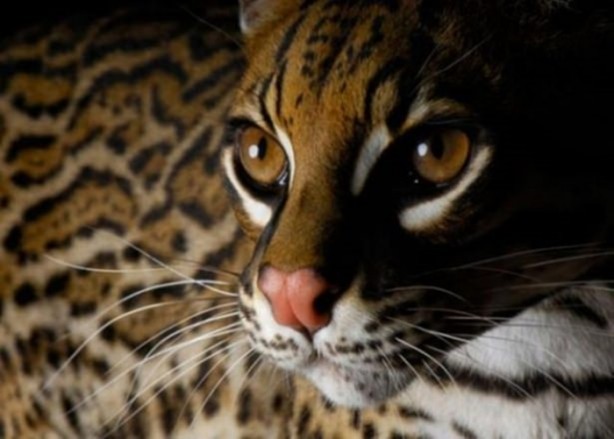 Foto - Dünya 150 sene sonra nasıl olacak?