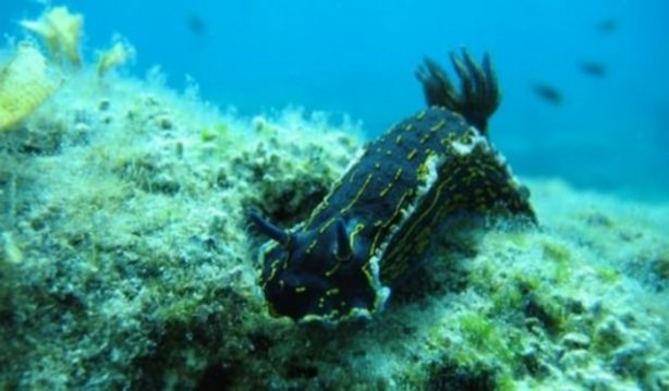 Foto - Dünya 150 sene sonra nasıl olacak?