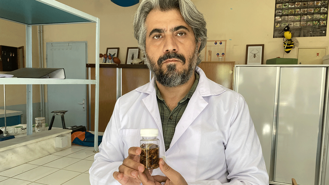 Foto - Dünya bu akrebi konuşuyor! Konya'da bulundu