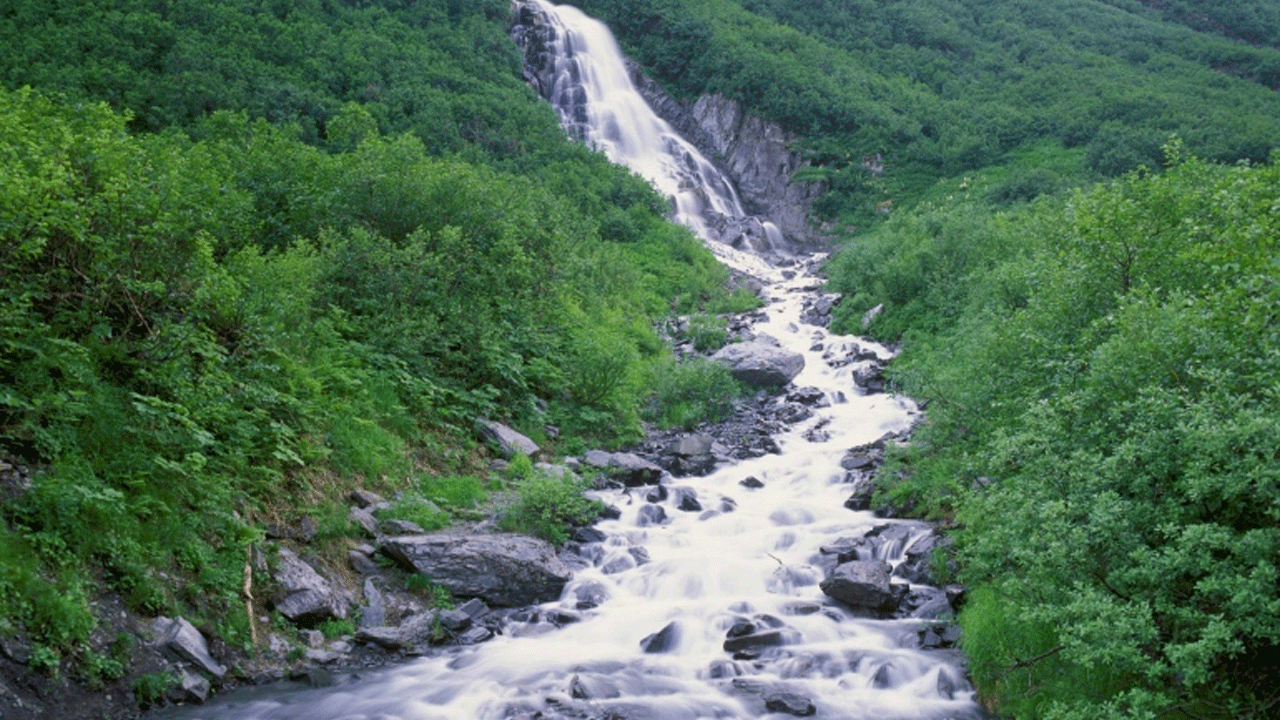 Dünya alarm veriyor: Son 30 yılın en hızlı seviyesine ulaşıldı