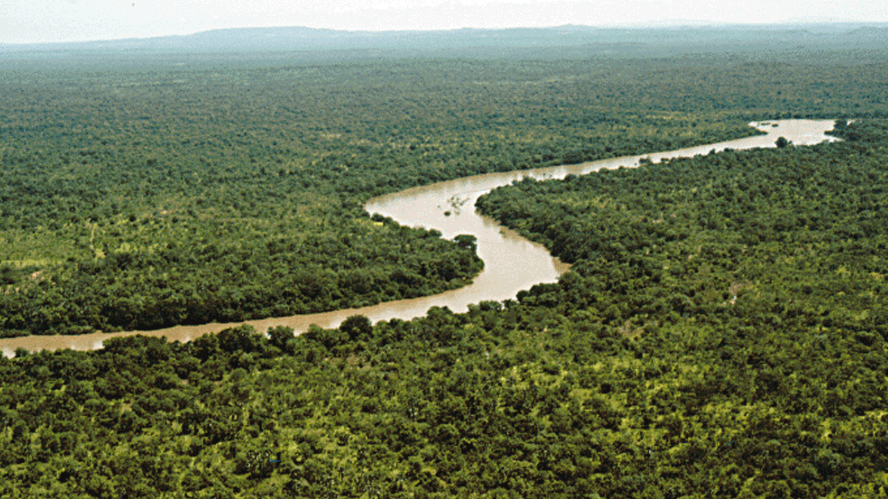 Foto - Dünya alarm veriyor: Son 30 yılın en hızlı seviyesine ulaşıldı