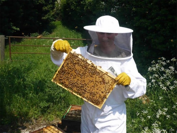 Foto - Dünya bu arıların peşinde!