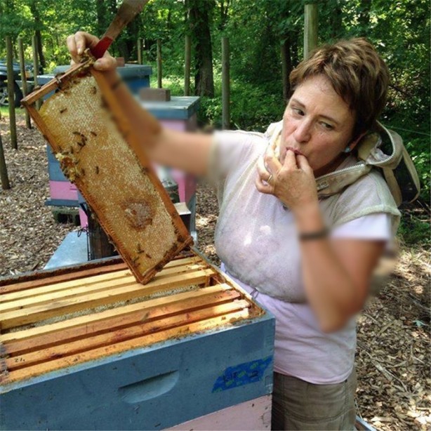 Foto - Dünya bu arıların peşinde!