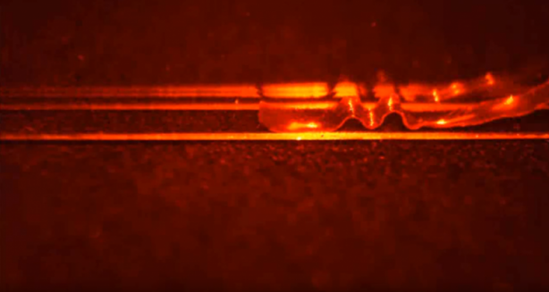 Foto - Dünya bu 'canavar'ı konuşuyor