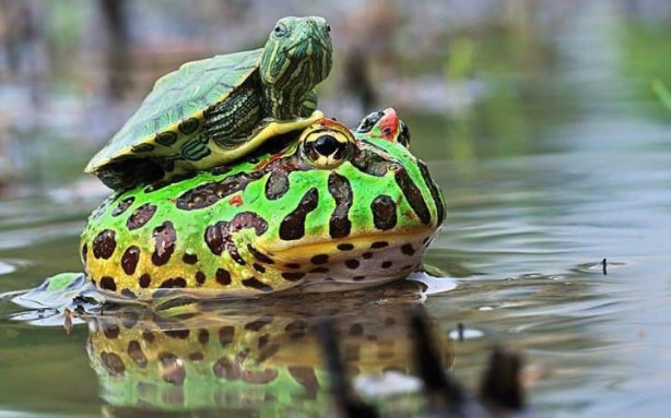 Foto - Dünya bu fotoğrafları konuşuyor