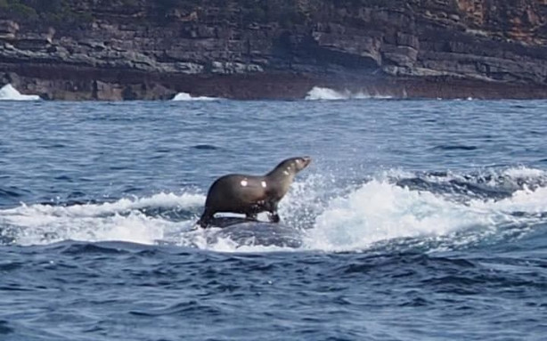 Foto - Dünya bu fotoğrafları konuşuyor