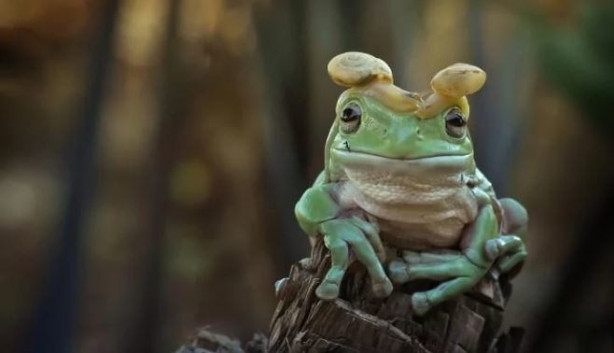 Foto - Dünya bu fotoğrafları konuşuyor