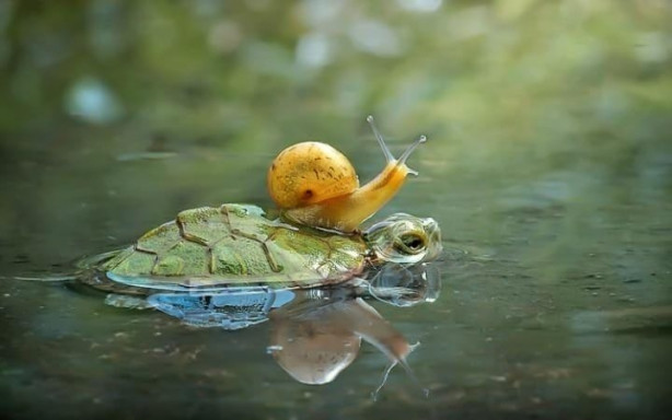 Foto - Dünya bu fotoğrafları konuşuyor