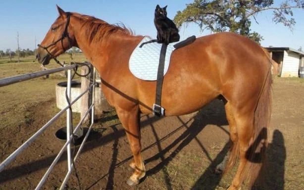 Foto - Dünya bu fotoğrafları konuşuyor