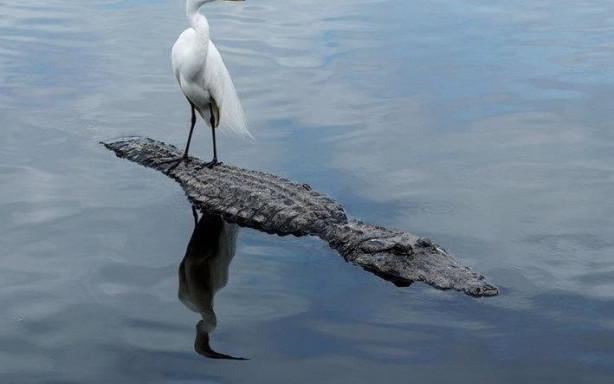 Foto - Dünya bu fotoğrafları konuşuyor