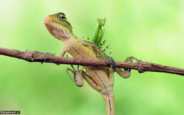 Foto - Dünya bu fotoğrafları konuşuyor