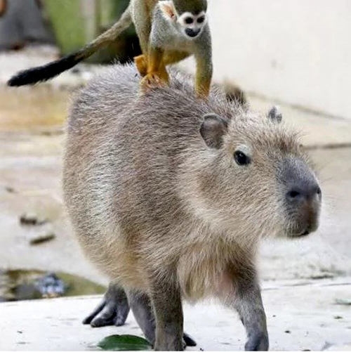 Foto - Dünya bu fotoğrafları konuşuyor