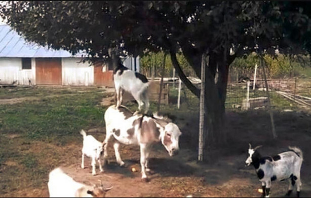 Foto - Dünya bu fotoğrafları konuşuyor