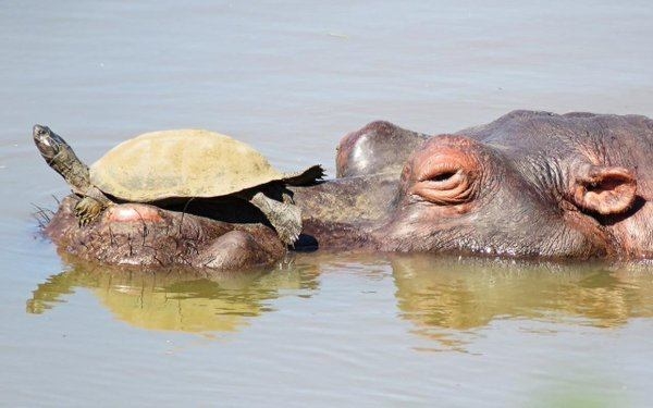 Foto - Dünya bu fotoğrafları konuşuyor
