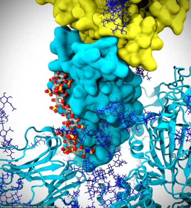 Foto - Dünya bu görüntüleri bekliyordu! İlk kez görüntülendi