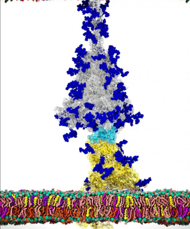 Foto - Dünya bu görüntüleri bekliyordu! İlk kez görüntülendi