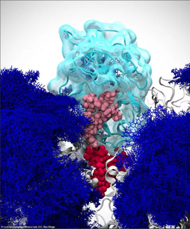 Foto - Dünya bu görüntüleri bekliyordu! İlk kez görüntülendi