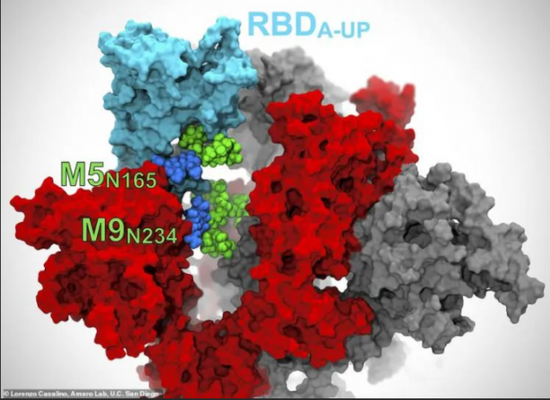 Foto - Dünya bu görüntüleri bekliyordu! İlk kez görüntülendi