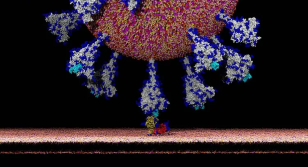 Dünya bu görüntüleri bekliyordu! İlk kez görüntülendi