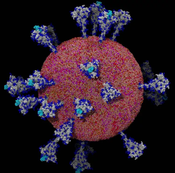 Foto - Dünya bu görüntüleri bekliyordu! İlk kez görüntülendi