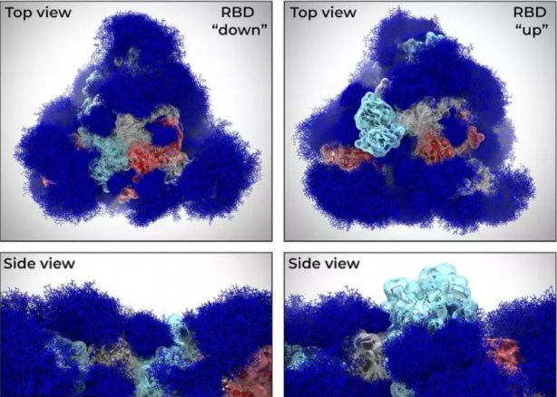 Foto - Dünya bu görüntüleri bekliyordu! İlk kez görüntülendi
