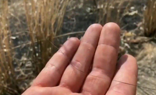 Foto - Dünya bu görüntüleri konuşuyor! Türk askeri buldu