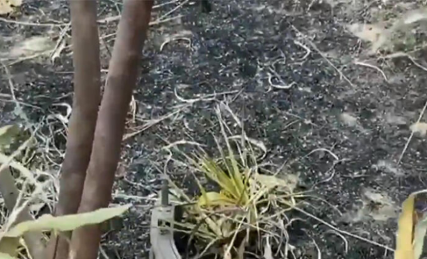 Foto - Dünya bu görüntüleri konuşuyor! Türk askeri buldu