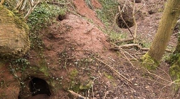 Foto - Dünya bu kareleri konuşuyor! Hayvan yuvası sanılıyordu deliğin ardından çıkanlar tüyler ürpertti