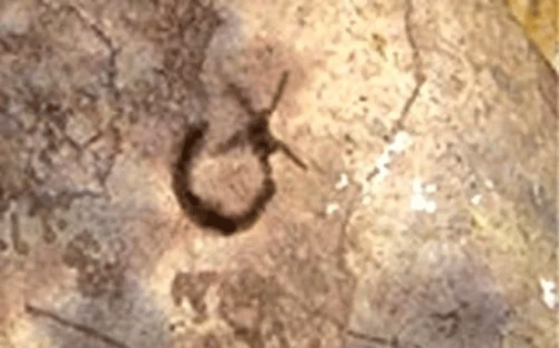 Foto - Dünya bu kareyi konuşuyor: 81 yıl önce çekilen fotoğrafa kimse açıklama yapamıyor!