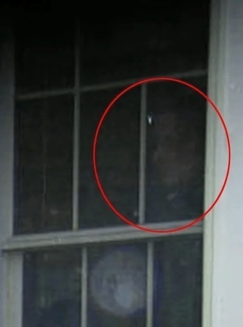 Foto - Dünya bu kareyi konuşuyor: 81 yıl önce çekilen fotoğrafa kimse açıklama yapamıyor!