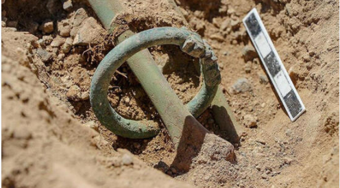 Foto - Dünya bu keşfi konuşuyor! Türkiye'de bulundu