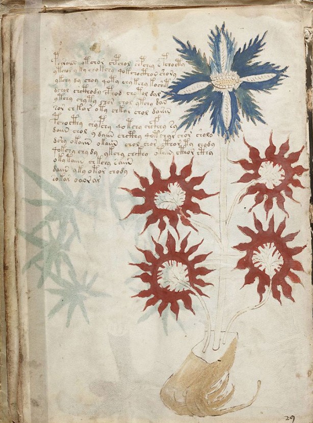 Foto - Dünya bu sorunun cevabını arıyor! Bir türlü bulunamadı