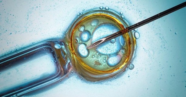 Foto - Dünya bu ülkeyi konuşuyor! Koronavirüsten 1 kişi bile ölmedi