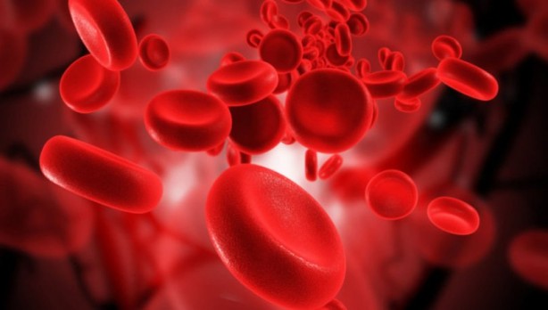 Foto - Dünya bunu yeni öğrendi! Bu kan grubuna sahipseniz dikkat