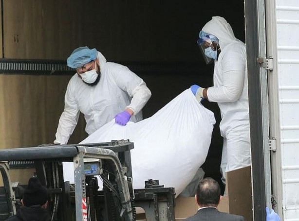 Foto - Dünya dehşete düştü! Ceset tarlasına dönüştü