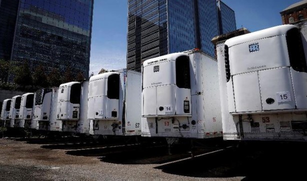 Foto - Dünya dehşete düştü! Ceset tarlasına dönüştü