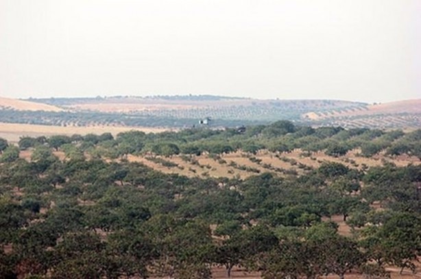 Foto - Dünya 'Fırat Kalkan' operasyonunu böyle gördü
