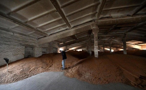 Foto - Dünya Gıda Programı Başkanı'ndan uyarı! 'Dünyayı doyurmamız zor'